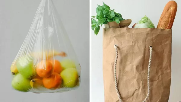 Paper packaging vs Plastic packaging: Which is better?