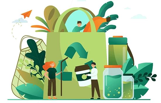 Dự Báo Thị Trường Bao Bì Giấy Việt Nam 2025: Cơ Hội Vàng Nào Cho Doanh Nghiệp SME?