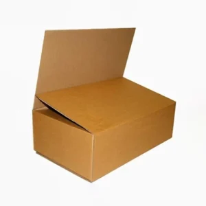 Thùng carton nắp chờm